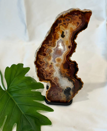 Exclusive Agate slice | home decor | crystals and minerals