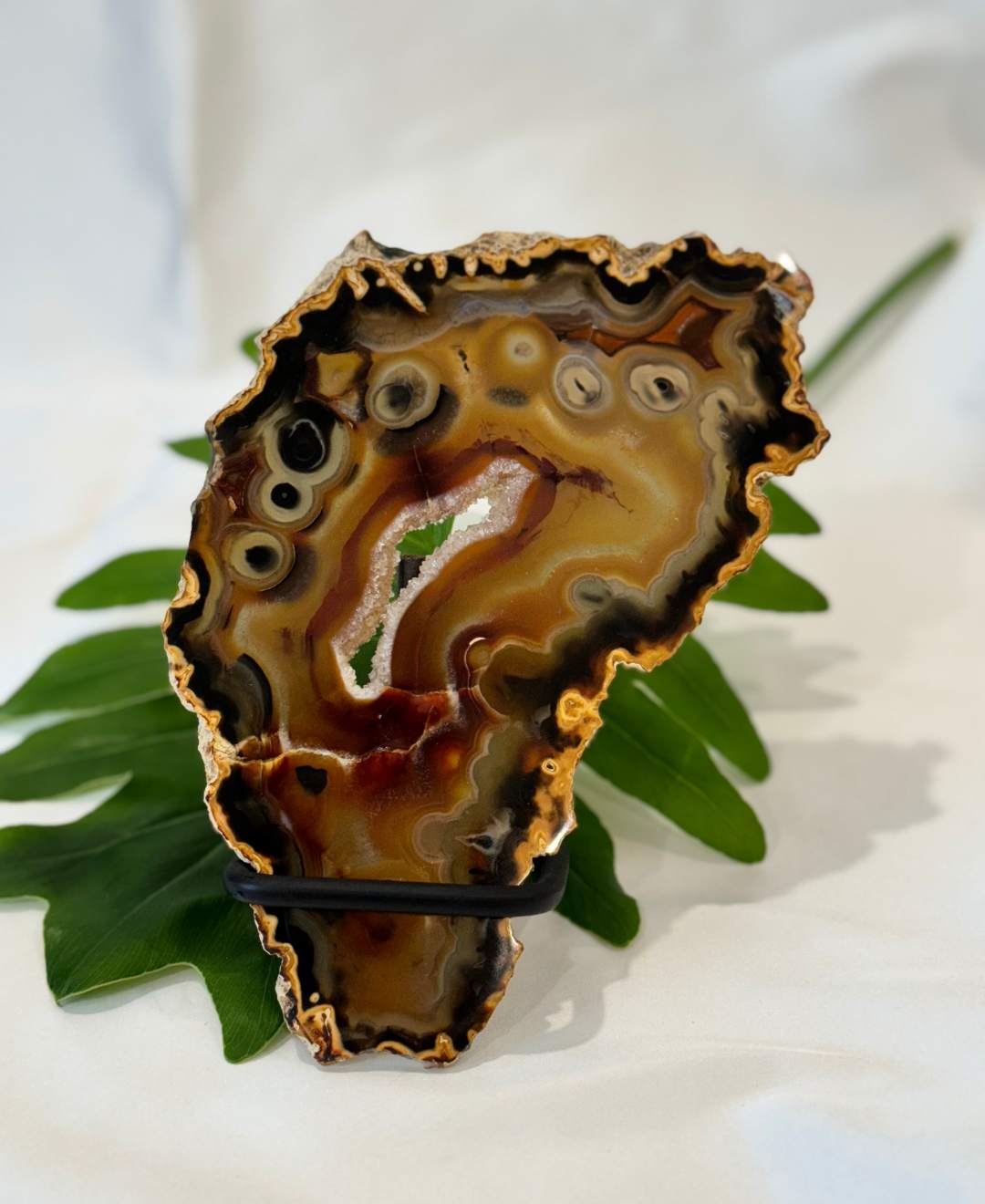 Exclusive Agate slice | home decor | Crystals and minerals