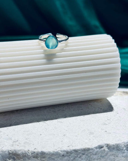 Minimal Paloma ring