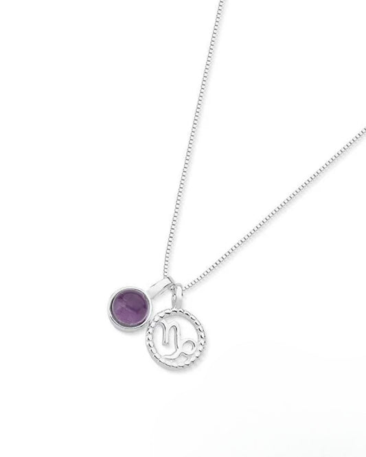 Capricorn Zodiac with Birthstone Necklace in Silver | Star sign Dec/Jan