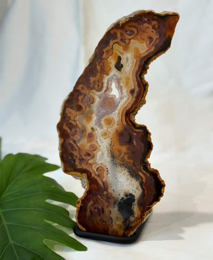 Exclusive Agate slice | home decor | crystals and minerals