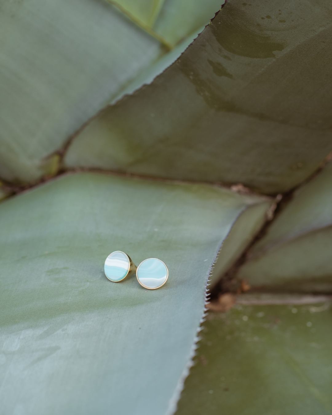 Colore delicate earrings on Blue Agate