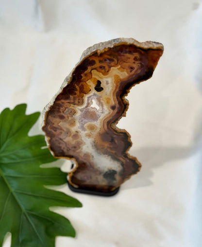 Exclusive Agate slice | home decor | crystals and minerals